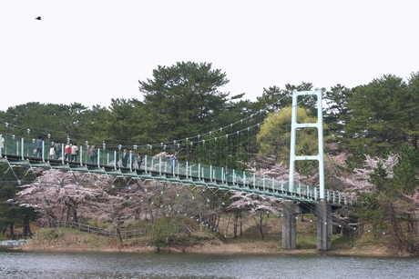 芦野公園・吊り橋