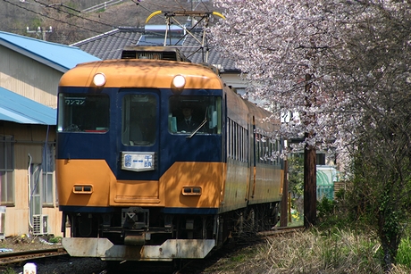 家山駅に進入する列車