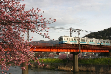 鉄橋を渡るもと東急電車