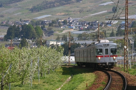 ラフランス畑と長野電鉄の普通電車