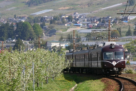 ラフランス畑と長野電鉄の普通電車